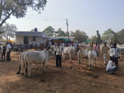 Whatsapp Image 2025 11 17 At 11.03.07 Am