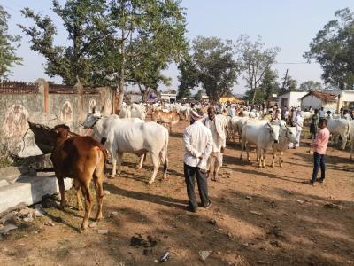 Whatsapp Image 2025 11 17 At 11.03.08 Am 2