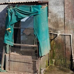 3126887a-e0a1-4039-b4f0-68a2970fa224_original