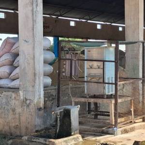 d2f2d412-ce4f-47c9-be55-d8366f41e6a5_original