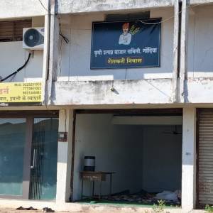 ad19497d-485d-4bf7-b99a-cd4fee812f73_original